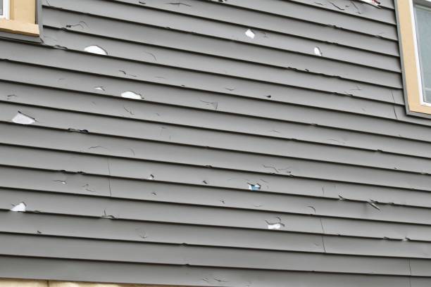 Best Engineered Wood Siding  in Colton, CA